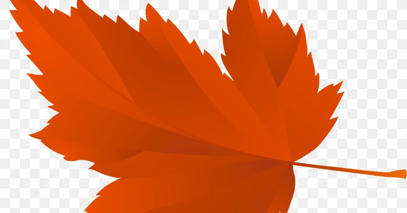 Vector Graphics Maple Leaf Tree Image, PNG, 1200x630px, Leaf, Autumn, Autumn Leaf Color, Autumn Leaves, Maple Leaf Download Free