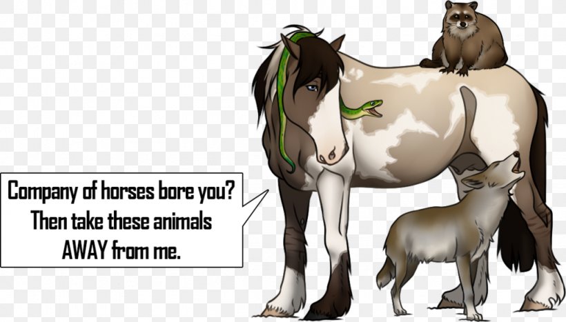 Foal Mustang Mare Stallion Donkey, PNG, 1024x584px, Foal, Animal Figure, Cartoon, Colt, Donkey Download Free