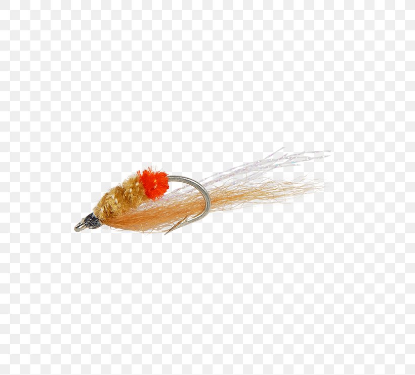 Snapping Shrimp Fly Fishing, PNG, 555x741px, Snapping Shrimp, Animal Source Foods, Dinner, Email, Fish Download Free