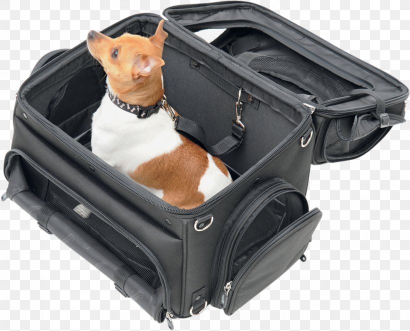 Dog Pet Carrier Kitten Puppy Scooter, PNG, 1200x970px, Dog, Bag, Baggage, Bicycle, Box Download Free