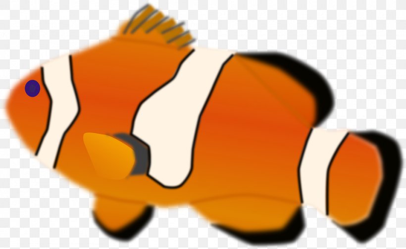 Orange Clownfish Clip Art, PNG, 960x589px, Clownfish, Beak, Carnivoran, Color, Drawing Download Free
