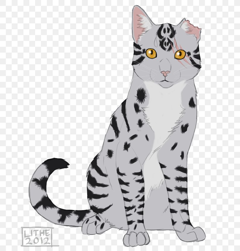 Whiskers American Wirehair Kitten Domestic Short-haired Cat Tabby Cat, PNG, 698x859px, Whiskers, American Wirehair, Animal, Animal Figure, Big Cat Download Free