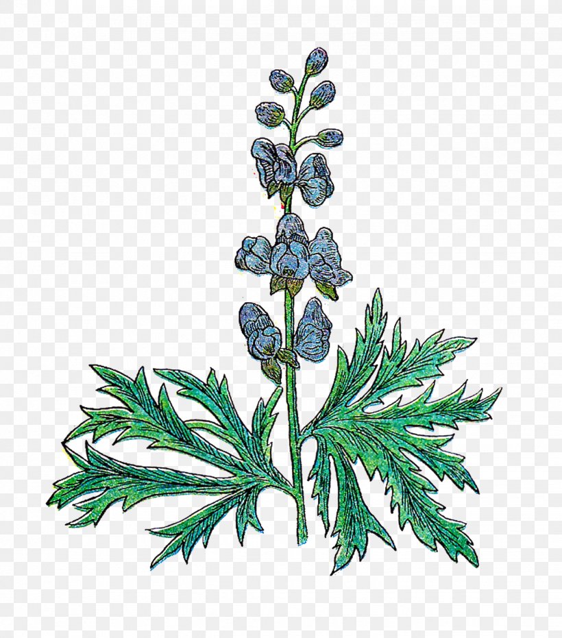 Herb Medicinal Plants Rosemary Clip Art, PNG, 1338x1520px, Herb, Basil, Branch, Chamomile, Drawing Download Free