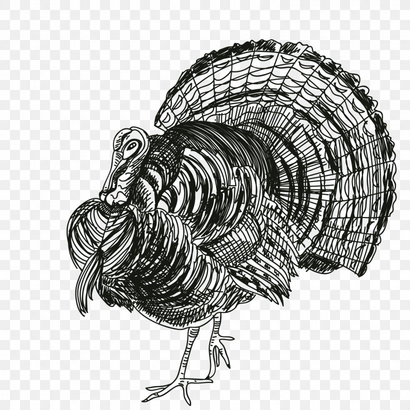 Turkey Thanksgiving Black And White Rooster, PNG, 1500x1500px, Turkey, Beak, Bird, Black And White, Chicken Download Free