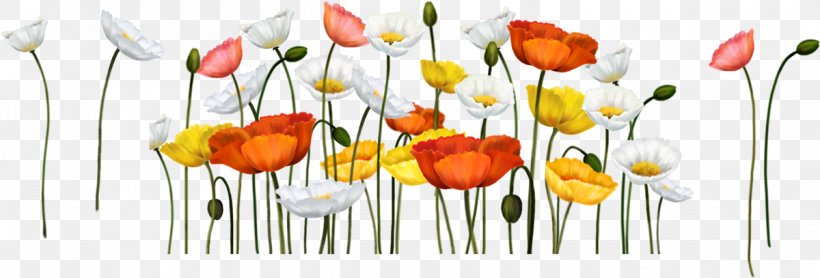Animaatio Computer Animation Avatar Blog, PNG, 1200x407px, Animaatio, Avatar, Blog, Computer Animation, Cut Flowers Download Free