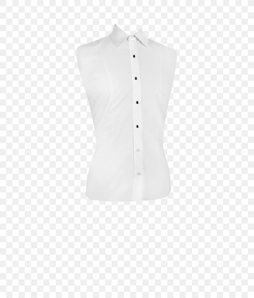 Blouse Shoulder Collar Sleeve Button, PNG, 640x960px, Blouse, Barnes Noble, Button, Clothing, Collar Download Free