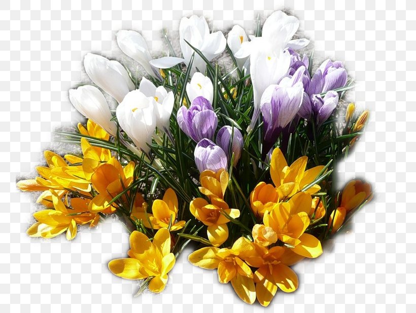 Crocus Flower Bouquet Cut Flowers, PNG, 757x618px, Crocus, Autumn Crocus, Cut Flowers, Floral Design, Floristry Download Free