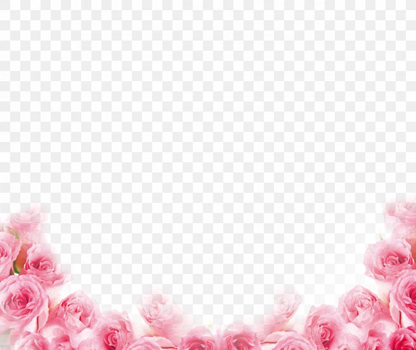Pink Beach Rose Petal Flower, PNG, 3547x2986px, Pink, Beach Rose, Flower, Garden Roses, Gift Download Free