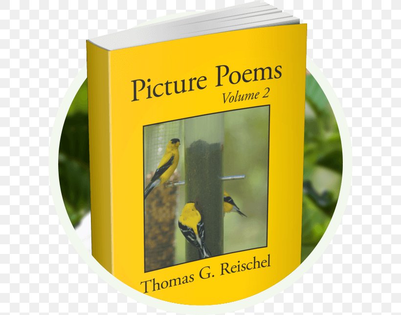 Poetry Brand Book Font, PNG, 622x645px, Poetry, Book, Brand, Yellow Download Free