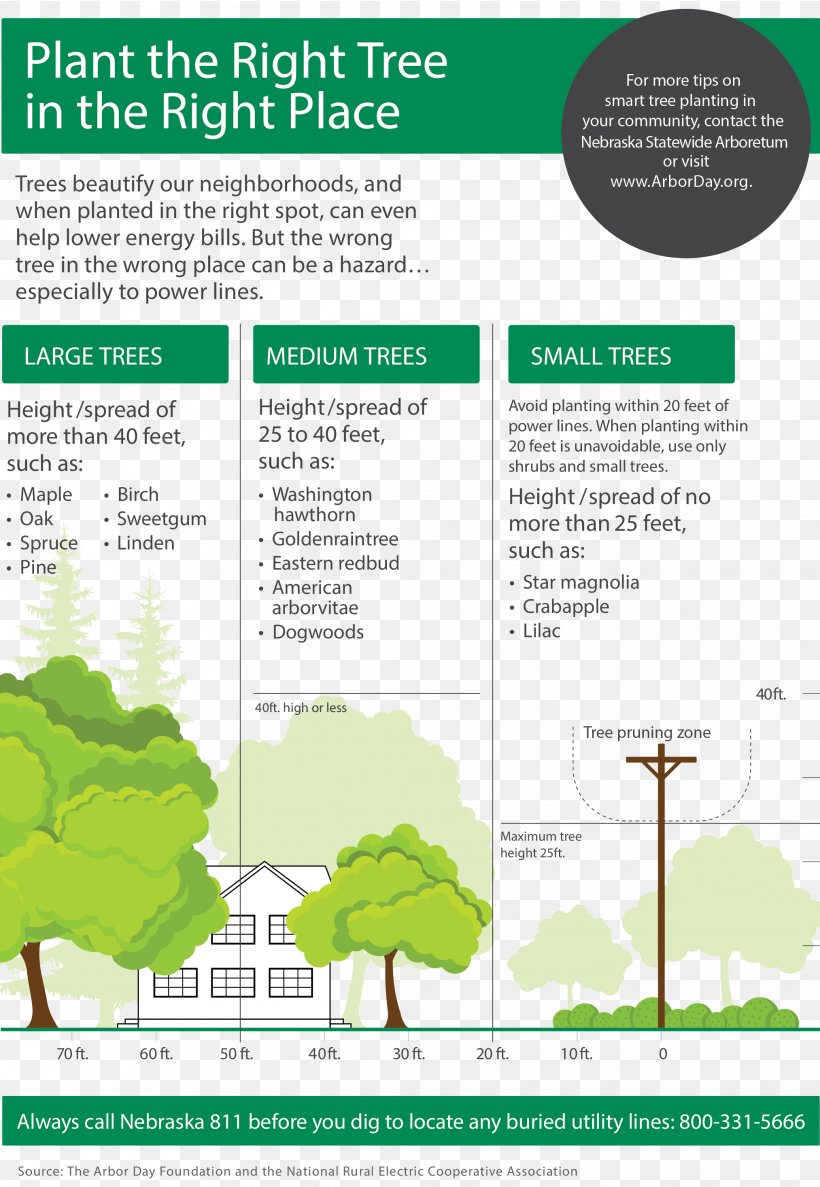Tree Planting Guide Gardening Electricity, PNG, 2026x2934px, Tree, Brochure, Christmas Tree, Diagram, Electric Utility Download Free