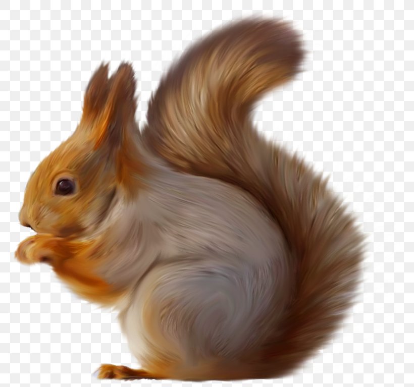 Tree Squirrels Squirrel Seeks Chipmunk Clip Art, PNG, 799x767px, Tree Squirrels, Animal, Fauna, Fur, Github Download Free