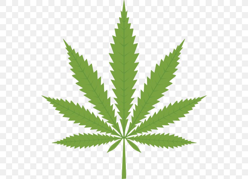 Cannabis Clip Art, PNG, 548x592px, Cannabis, Cannabis Smoking, Drawing, Grass, Hemp Download Free