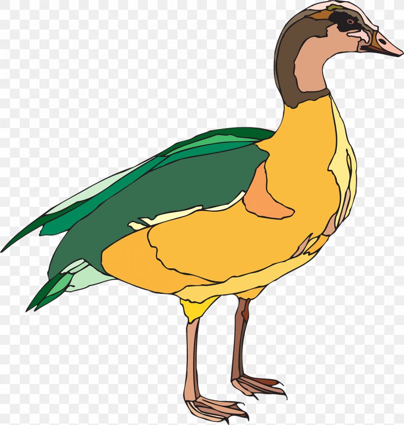 Domestic Duck Bird Green Clip Art, PNG, 1216x1280px, Duck, Anatidae, Beak, Bird, Domestic Duck Download Free