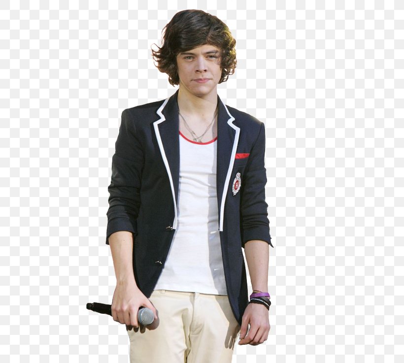 Harry Styles Up All Night Tour One Direction Fashion Clothing, PNG, 493x737px, Watercolor, Cartoon, Flower, Frame, Heart Download Free