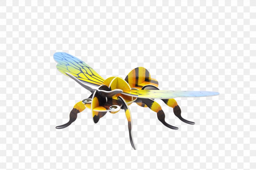 Honey Bee Hornet Three-dimensional Space Insect Shape, PNG, 4288x2848px, Honey Bee, Arthropod, Bee, Fly, Game Download Free