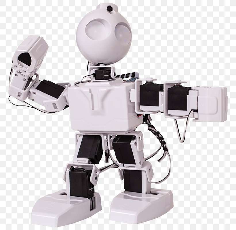 Humanoid Robot Hexapod Nao, PNG, 800x800px, Robot, Artificial Intelligence, Degrees Of Freedom, Hexapod, Homo Sapiens Download Free