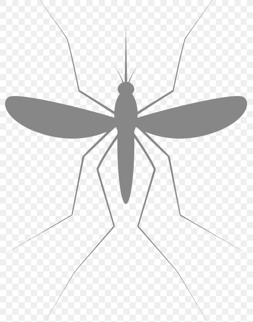 Mosquito Visceral Leishmaniasis Child Health, PNG, 816x1044px, Mosquito, Blackandwhite, Child, Disease, Endemic Download Free