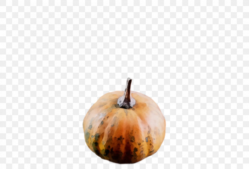 Winter Squash Gourd 0jc Squash Fruit, PNG, 1200x817px, Watercolor, Fruit, Gourd, Paint, Squash Download Free