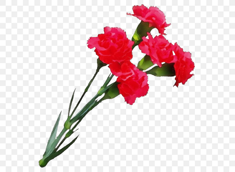 Floral Design, PNG, 577x600px, Watercolor, Carnation, Cut Flowers, Floral Design, Flower Download Free