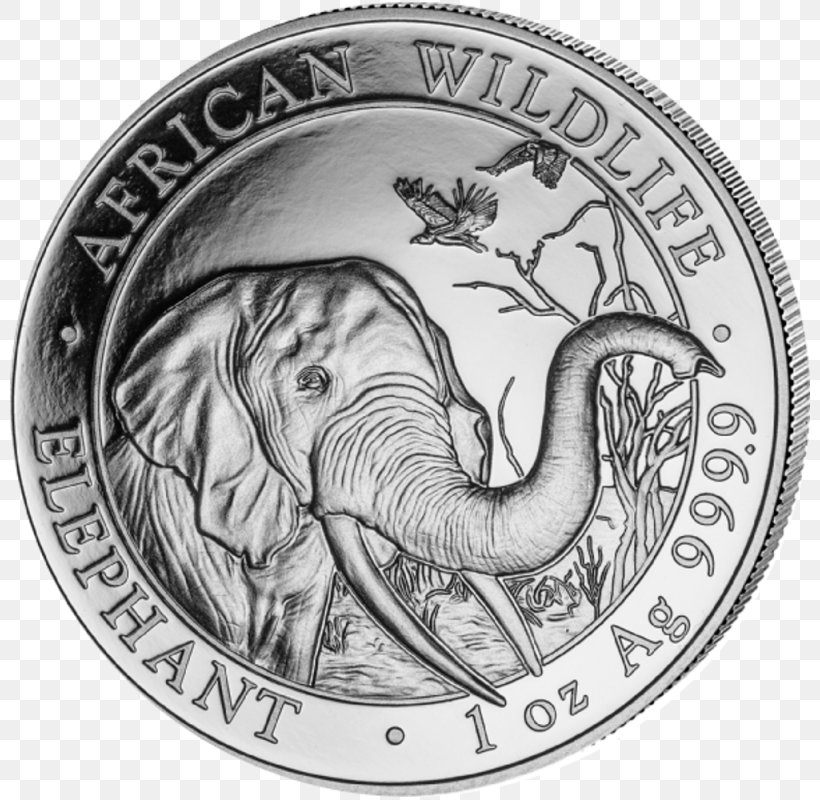 Indian Elephant, PNG, 800x800px, Coin, African Bush Elephant, African Elephant, Coin Grading, Drawing Download Free