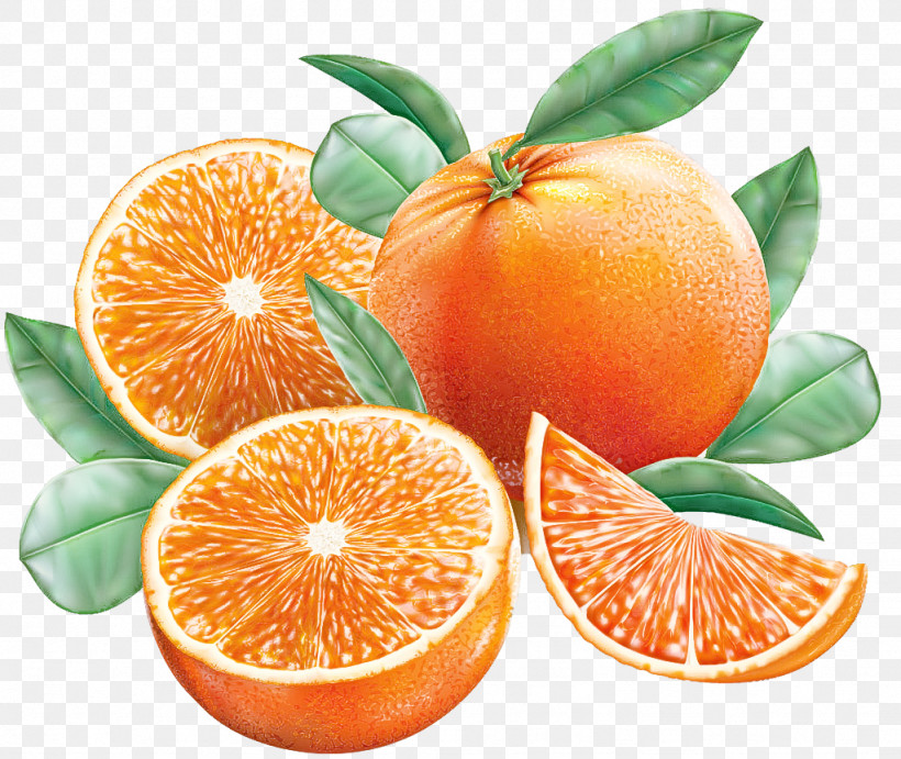 Orange, PNG, 1024x863px, Citrus, Accessory Fruit, Bitter Orange, Calamondin, Citric Acid Download Free