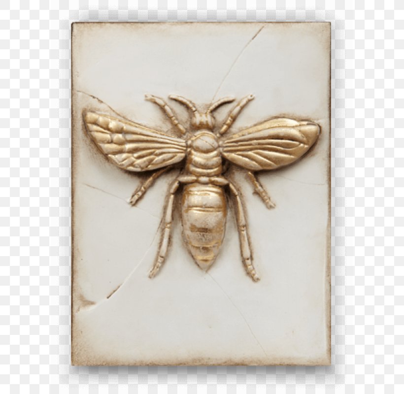 Sid Dickens Inc Tile Wall Table Plaster, PNG, 800x800px, Sid Dickens Inc, Artist, Canada, Insect, Invertebrate Download Free