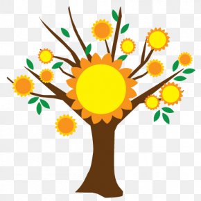 Sunflower Vector - Sunflower Montessori Daycare Montessori Education Cut Flowers Plant PNG