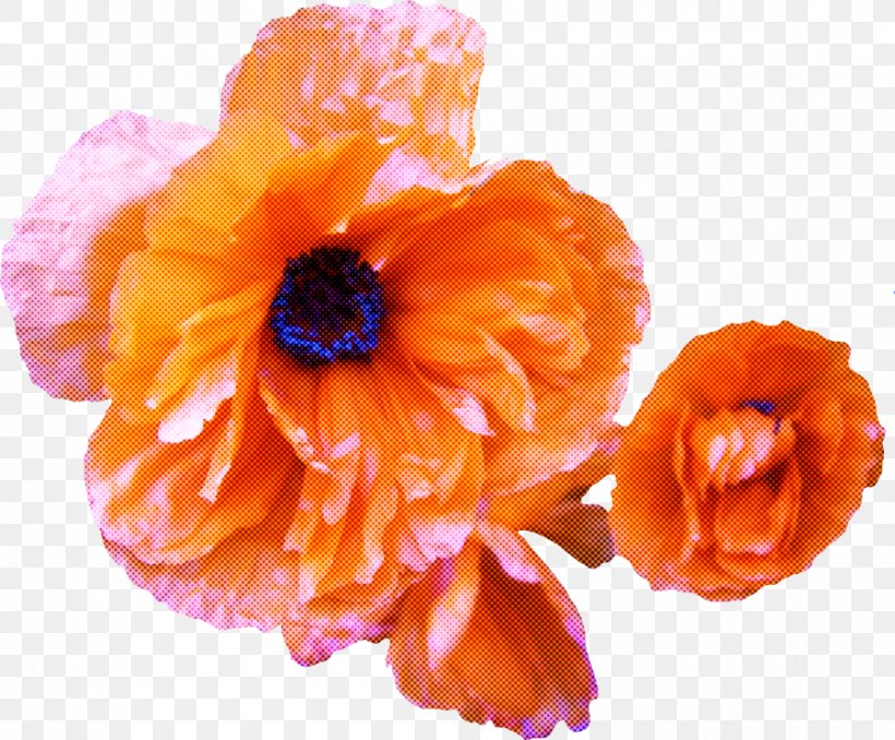 Artificial Flower, PNG, 900x745px, Orange, Artificial Flower, Cut Flowers, Flower, Flowering Plant Download Free