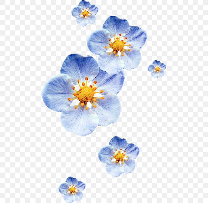 Petal Blue Color Flower, PNG, 493x800px, Petal, Blue, Color, Color Gradient, Data Download Free