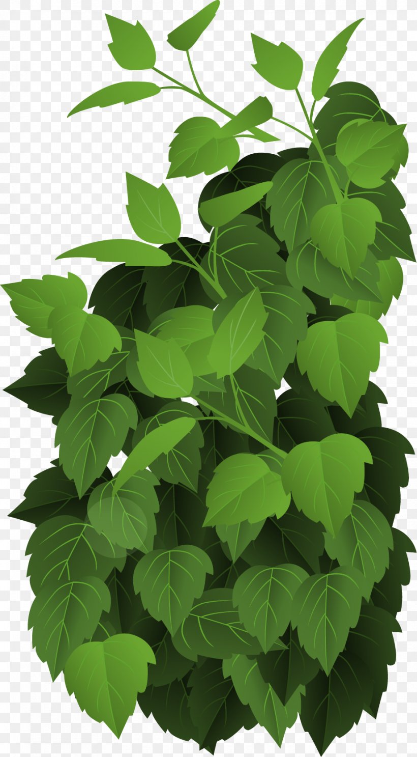 Tropical Rainforest Royalty-free Illustration, PNG, 920x1669px, Tropical Rainforest, Branch, Forest, Fotolia, Herb Download Free