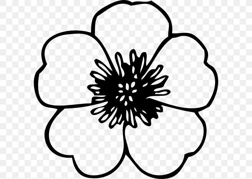 Clip Art Openclipart Flower Free Content Image, PNG, 600x582px, Flower, Blackandwhite, Coloring Book, Document, Flower Bouquet Download Free