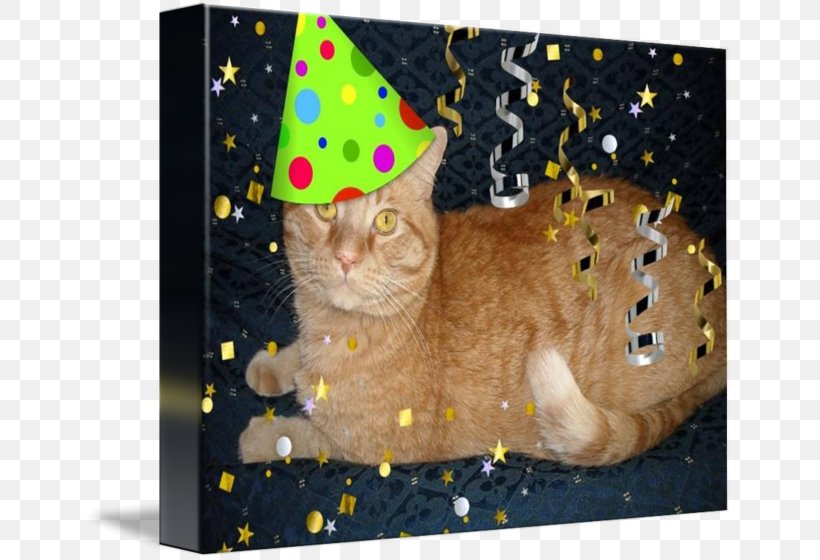 Tabby Cat Whiskers Kitten Birthday, PNG, 650x560px, Tabby Cat, Animal, Birthday, Canvas Print, Carnivoran Download Free