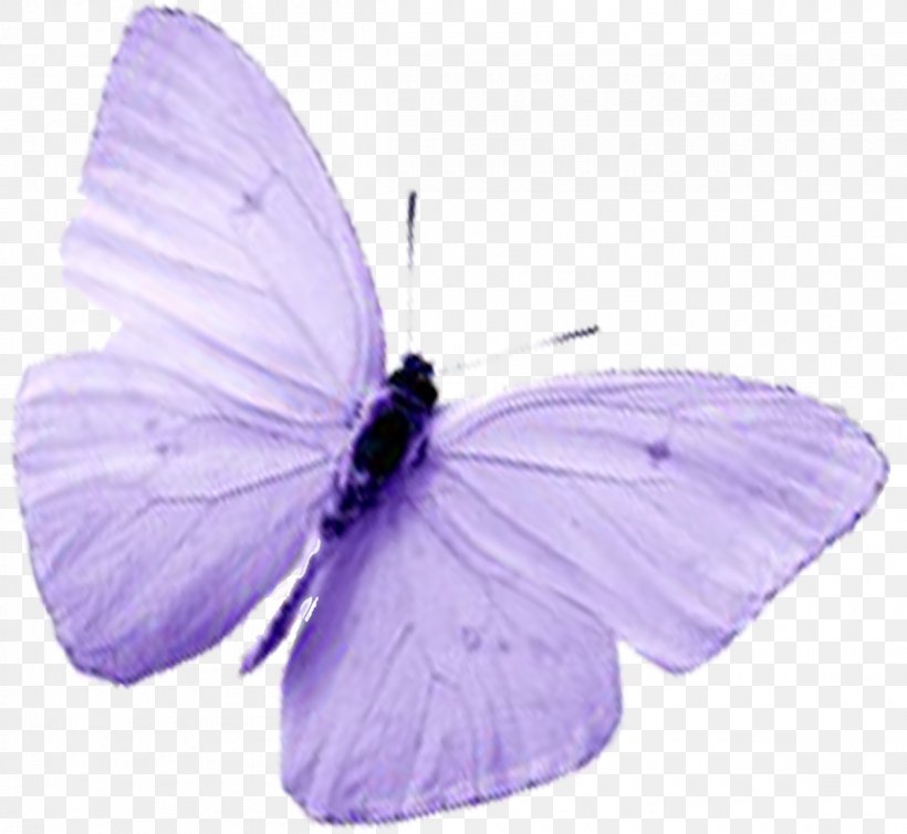 Butterfly Insect Lavender Lilac Pollinator, PNG, 1200x1104px, Butterfly, Brush Footed Butterfly, Butterflies And Moths, Insect, Invertebrate Download Free