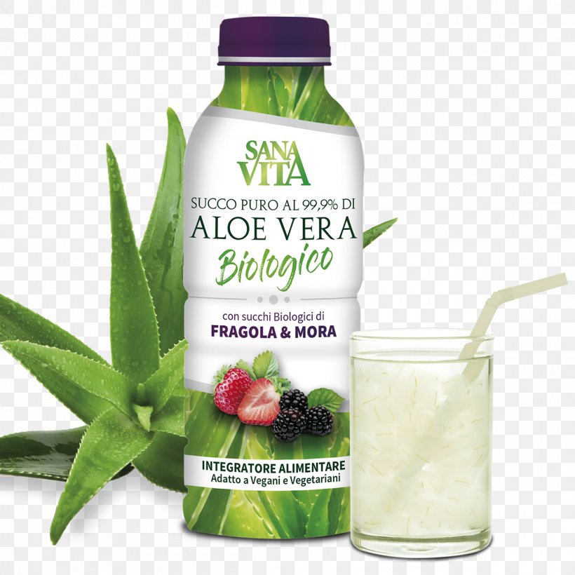 Dietary Supplement Aloe Vera Juice Acid Gras Omega-3 Plants, PNG, 1200x1200px, Dietary Supplement, Aloe Vera, Aloes, Dietary Fiber, Digestion Download Free