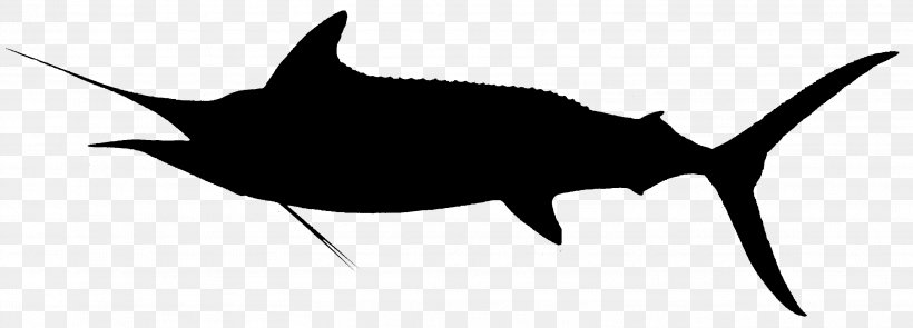 Shark Clip Art Fauna Line Marine Mammal, PNG, 3008x1084px, Shark, Fauna, Fin, Fish, Leaf Download Free