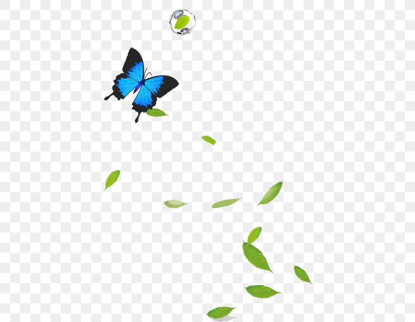 Google Images Computer File, PNG, 518x637px, Google Images, Butterfly, Gratis, Green, Insect Download Free