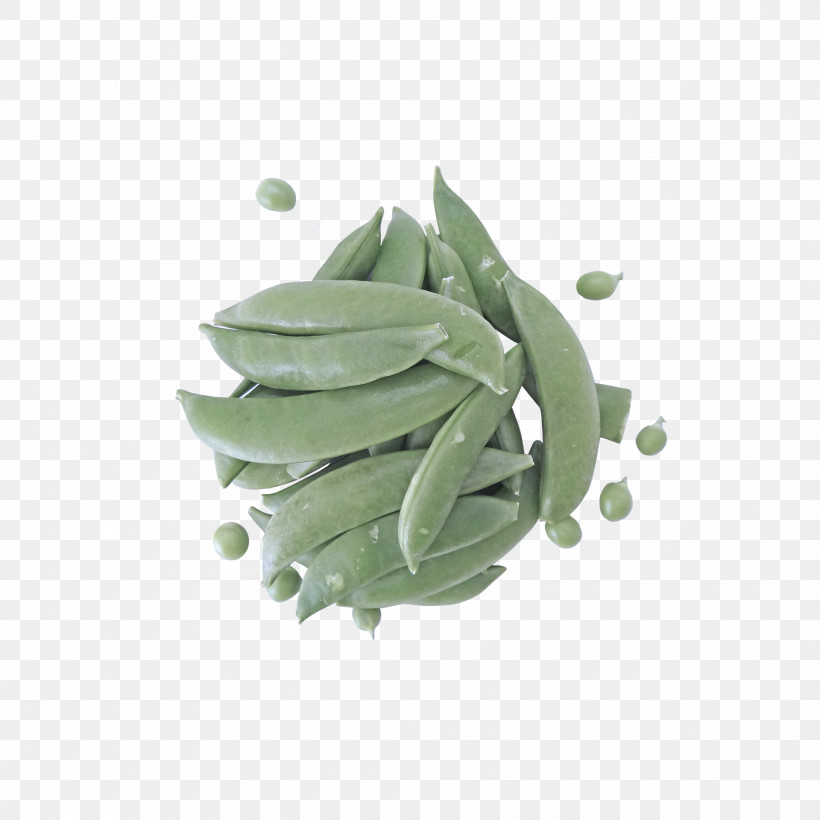 Lima Bean, PNG, 1920x1920px, Lima Bean Download Free