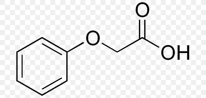 Phenylalanine Amino Acid Cinnamic Acid Caffeic Acid, PNG, 709x392px, Phenylalanine, Acid, Amino Acid, Area, Benzoic Acid Download Free