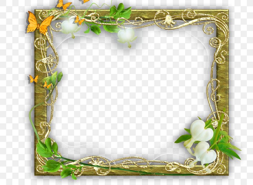 Picture Frames Photography Clip Art, PNG, 800x600px, Picture Frames, Blog, Border, Craft, Flora Download Free