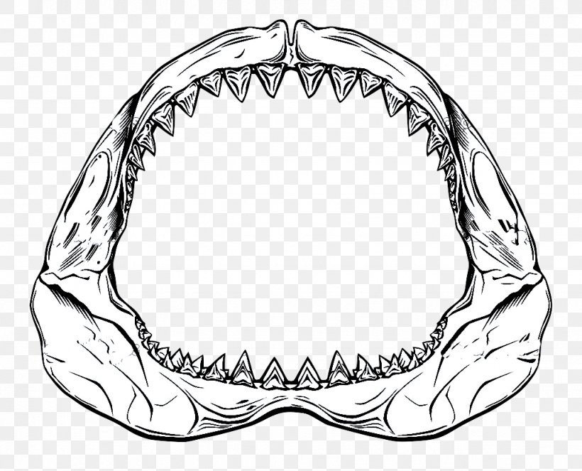Shark Jaws Drawing, PNG, 1023x828px, Shark Jaws, Art, Artwork, Black And White, Body Jewelry Download Free