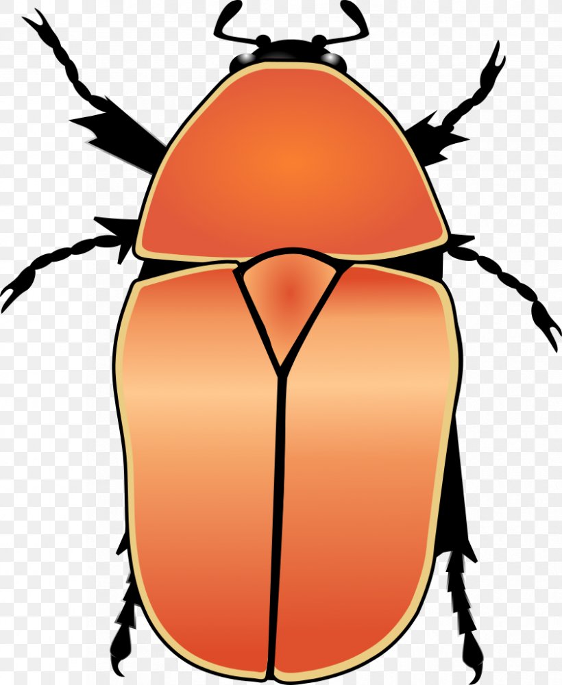 Beetle Pachnoda Marginata Cetoniidae European Rose Chafer Clip Art, PNG, 839x1024px, Beetle, Animal, Artwork, Biological Classification, Central Africa Download Free