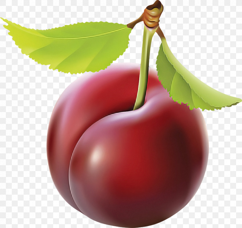 Cherry Fruit European Plum Plant Leaf, PNG, 850x802px, Cherry, Drupe, European Plum, Flower, Food Download Free