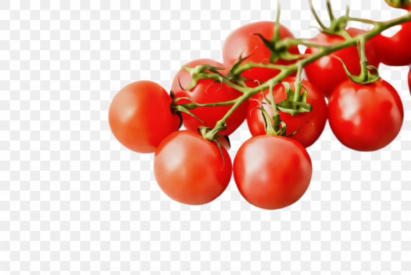 Tomato, PNG, 2444x1636px, Watercolor, Apricot, Bush Tomato, Cherries, Cherry Download Free