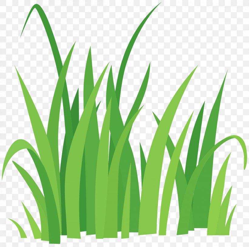 Vector Graphics Clip Art Royalty-free Illustration Image, PNG, 1200x1194px, Royaltyfree, Cartoon, Commodity, Drawing, Grass Download Free