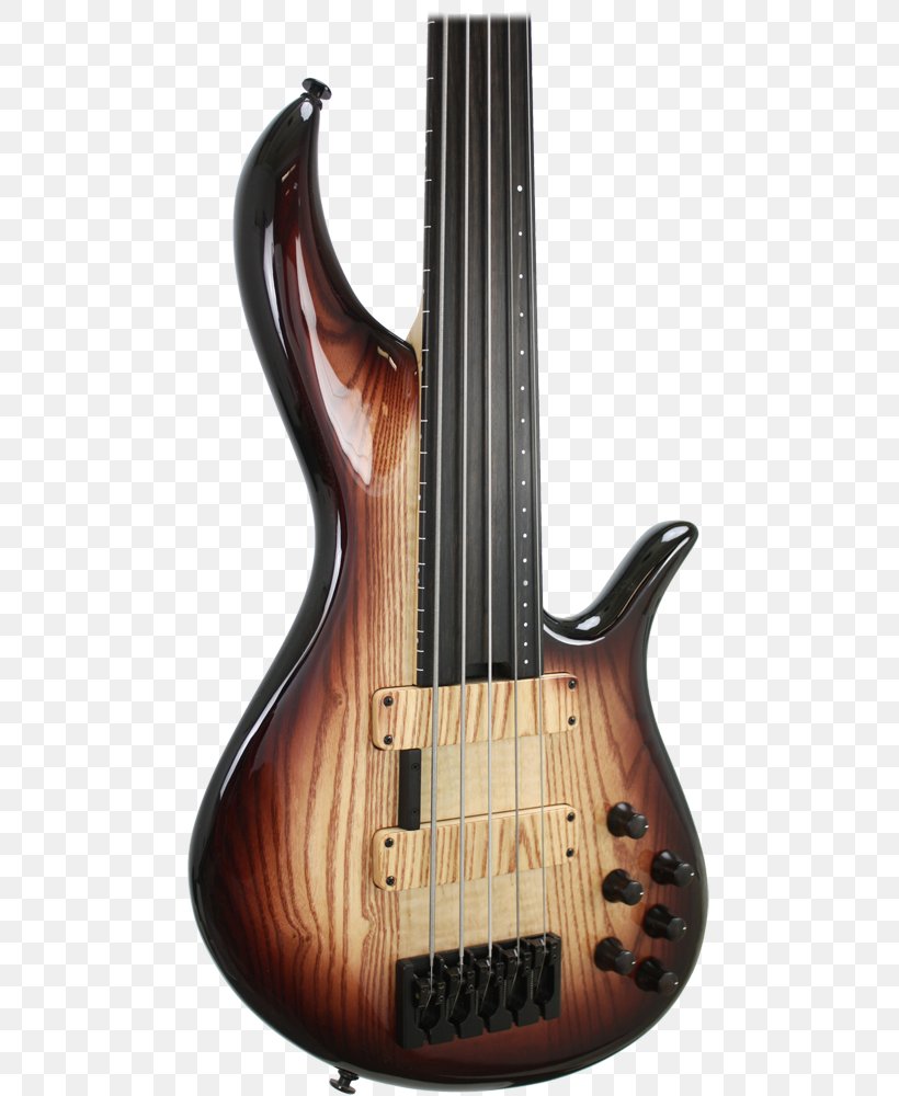 Bass Guitar Fretless Guitar Double Bass String Instruments, PNG, 477x1000px, Bass Guitar, Acoustic Electric Guitar, Acousticelectric Guitar, Bass, Bass Violin Download Free
