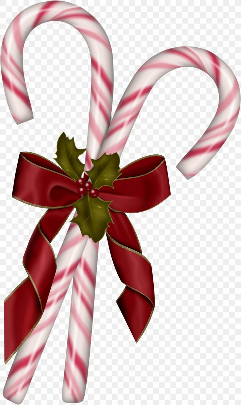 Candy Cane Lollipop Christmas Clip Art, PNG, 1637x2749px, Candy Cane, Candy, Christmas, Christmas Decoration, Christmas Ornament Download Free