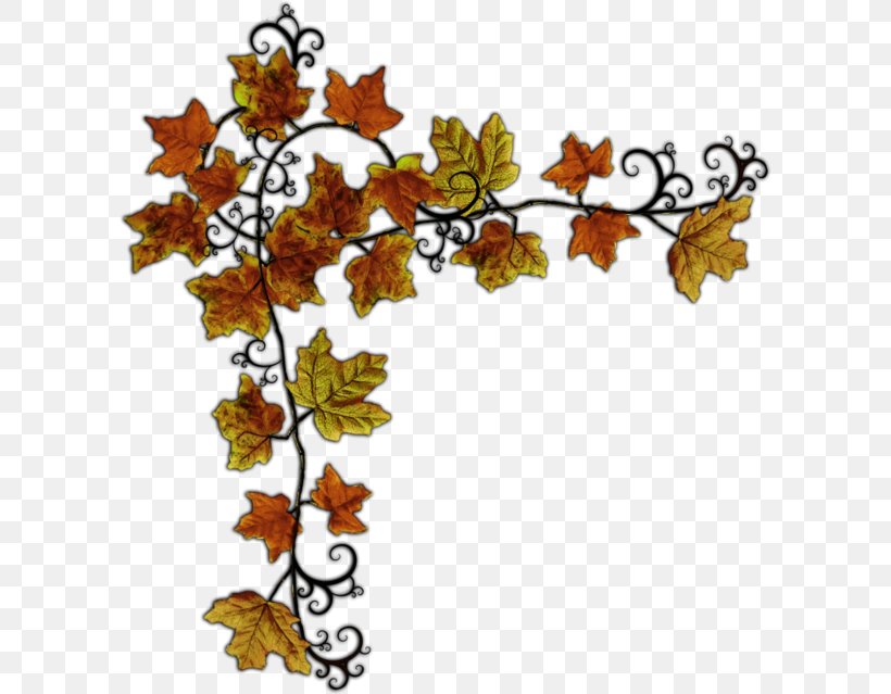 Clip Art Picture Frames Leaf Photography GIF, PNG, 600x639px, Picture Frames, Autumn, Botany, Branch, Cut Flowers Download Free