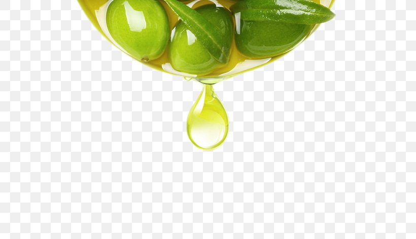 Extra Virgin Olive Oil Fruit, PNG, 790x472px, Olive, Apple, Bottle, Cooking Oil, Extra Virgin Olive Oil Download Free