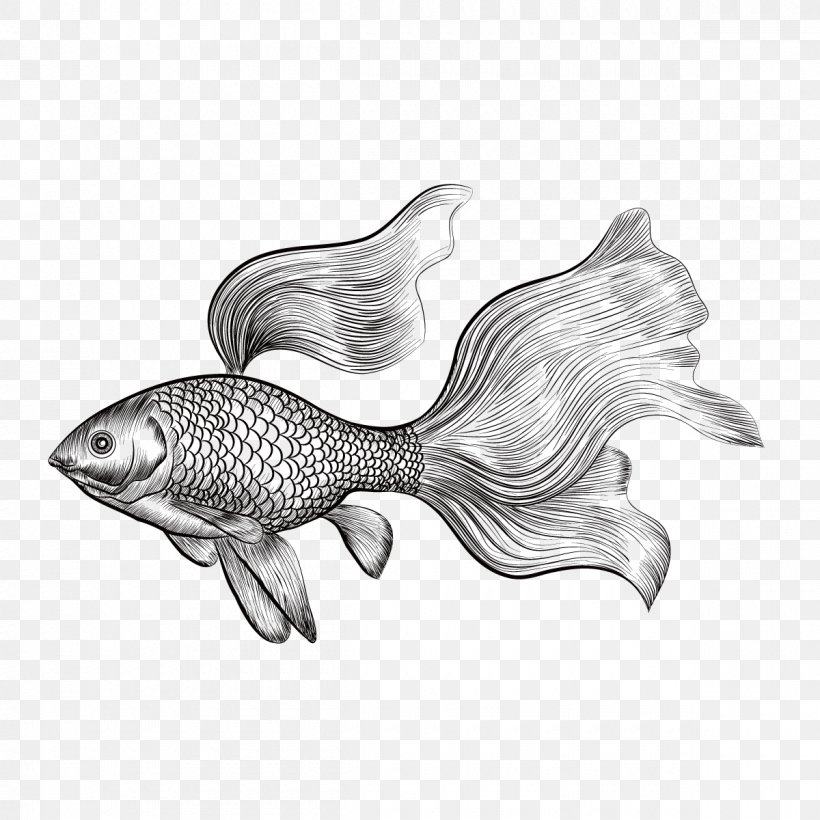Goldfish Drawing Euclidean Vector, PNG, 1200x1200px, Goldfish, Art, Automotive Design, Black And White, Drawing Download Free