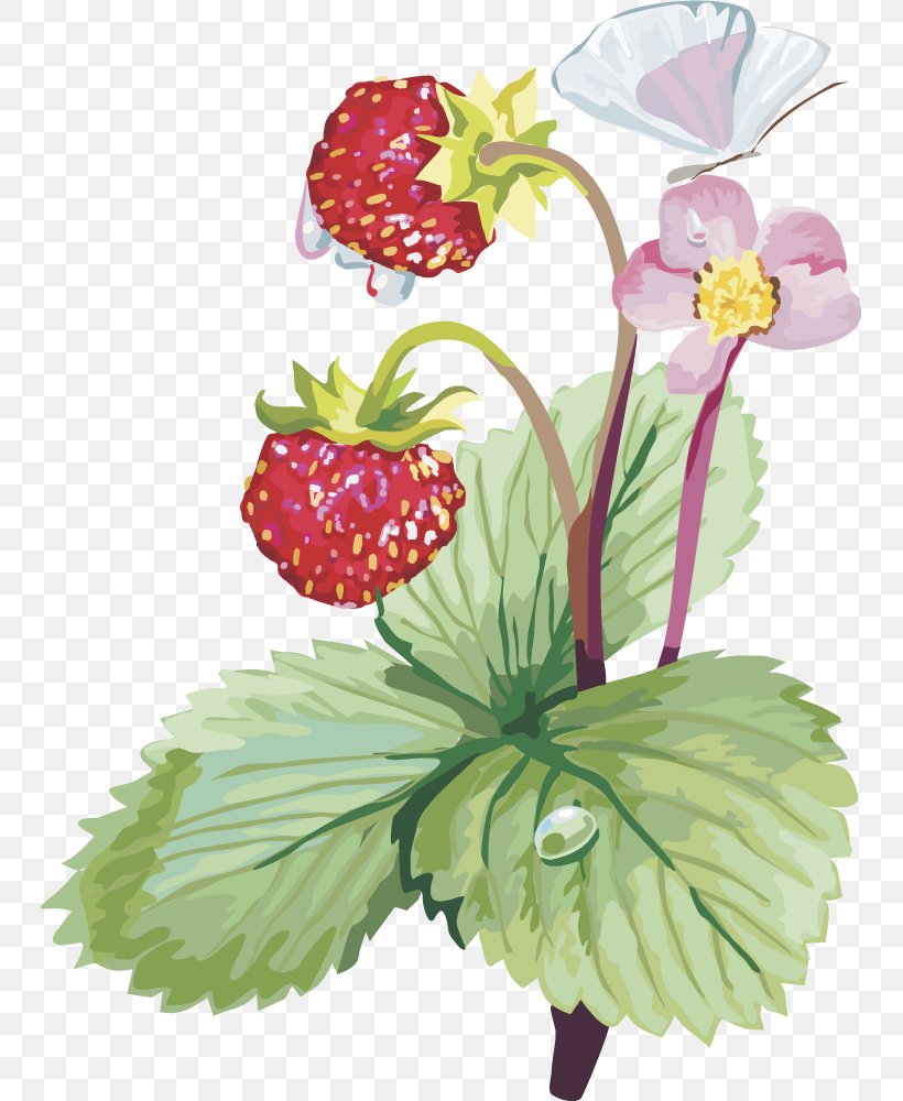 Musk Strawberry Clip Art, PNG, 745x1000px, Musk Strawberry, Amorodo, Berry, Cut Flowers, Floral Design Download Free